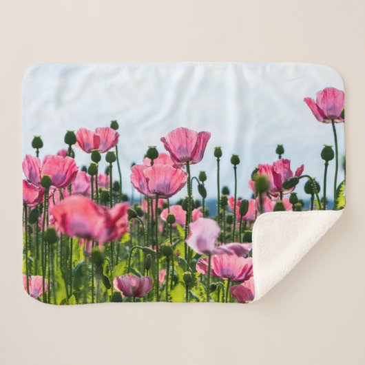 Roze papaver sherpa deken (Voorkant (horizontaal))