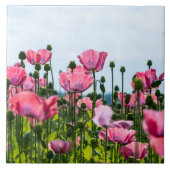 Roze papaver tegeltje (Voorkant)