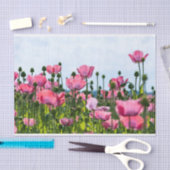 Roze papaver tissuepapier (Craft)