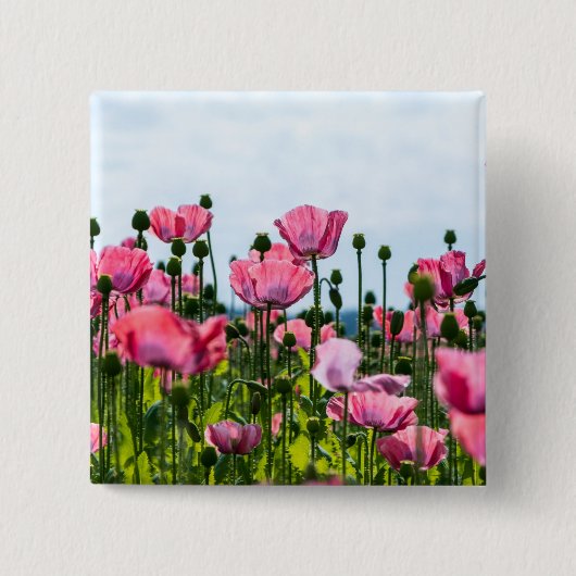 Roze papaver vierkante button 5,1 cm (Voorkant)