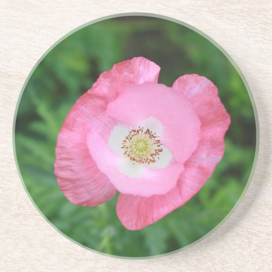 Roze papaver zandsteen onderzetter (Voorkant)
