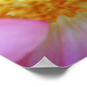 Roze papaversie Afdrukken Fotografische illustrati Poster (Hoek)