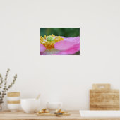 Roze papaversie Afdrukken Fotografische illustrati Poster (Keuken)