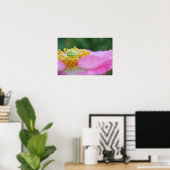 Roze papaversie Afdrukken Fotografische illustrati Poster (Thuiskantoor)