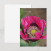  roze papavery notitiekaartje (Voorkant / Achterkant)