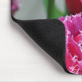 Roze papegaaiknollen muismat (Hoek)