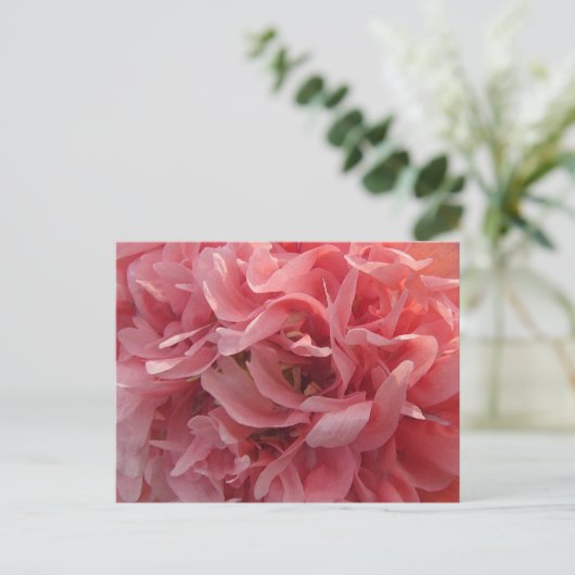 Roze papie petals briefkaart (Staand voorkant)