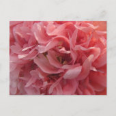 Roze papie petals briefkaart (Voorkant)