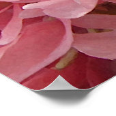 Roze papie petals poster (Hoek)