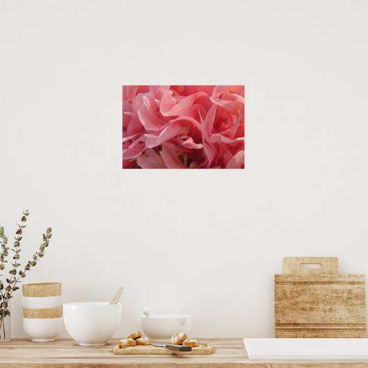 Roze papie petals poster (Keuken)
