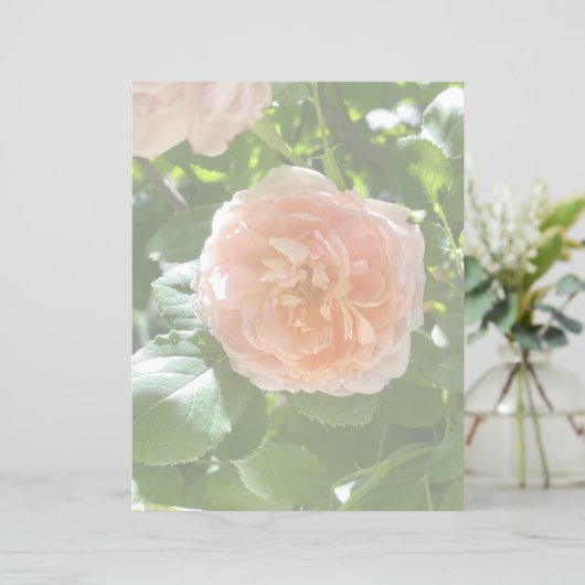 Roze papier van 8,5 x 11 (Staand voorkant)