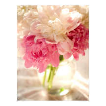 Roze papier voor Floral Value (Poster)