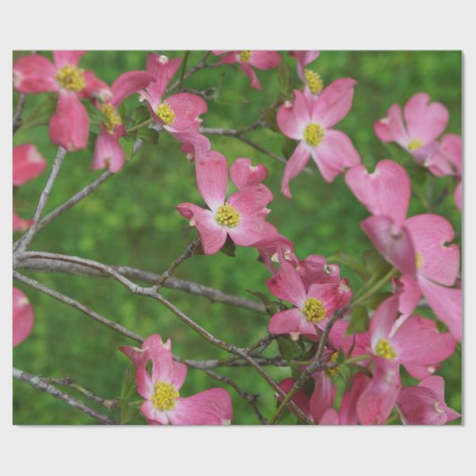 Roze papier voor het oppakken van dogwood Gift Wra (Vlak)