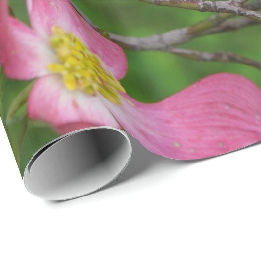 Roze papier voor het oppakken van dogwood Gift Wra (Rol Hoek)