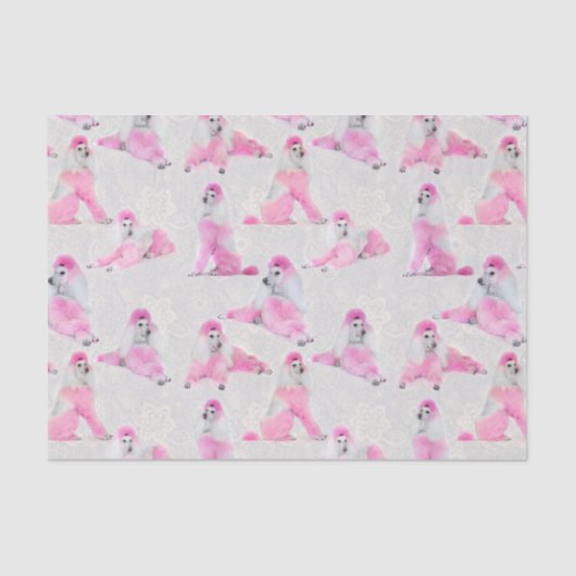 Roze papier voor poolschoen (Voorkant)