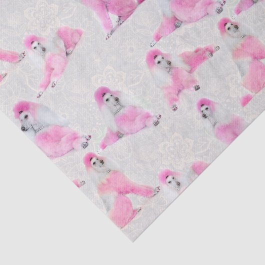 Roze papier voor poolschoen (Detail)