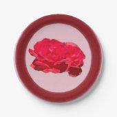 Roze Papieren Bord (Voorkant)