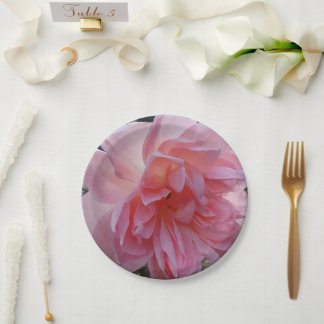 Roze papieren borden voor je feest of evenement bordje