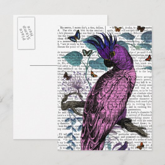 Roze Parrot Briefkaart (Voorkant / Achterkant)
