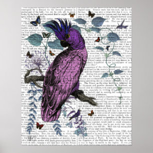 Roze Parrot Poster