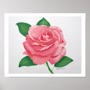 Roze passie afdrukken poster