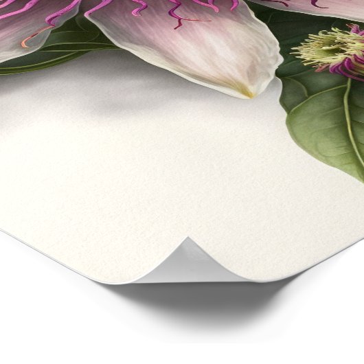 Roze Passion Flower Art Print Poster (Hoek)