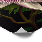 Roze Passion Flower Art Print Poster (Hoek)