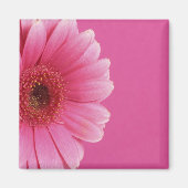 Roze Passion Magnet (Voorkant)