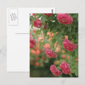 Roze Passion Post Card Briefkaart (Voorkant / Achterkant)