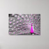 Roze Peacock Wrapped Canvas (Voorkant)