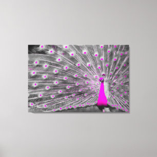 Roze Peacock Wrapped Canvas