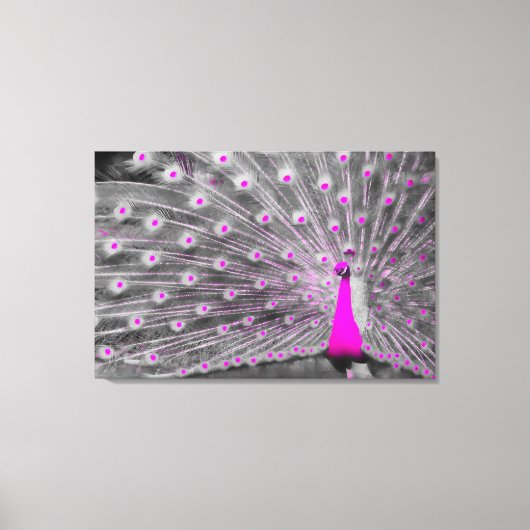 Roze Peacock Wrapped Canvas (Voorkant)