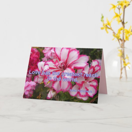 Roze Pelargonium Liefde is het Grootste bloemkaart Kaart (Gele Bloem)