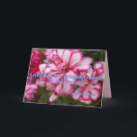 Roze Pelargonium Liefde is het Grootste bloemkaart Kaart<br><div class="desc">Roze Pelargonium Liefde is het Grootste bloemkaart. Ontworpen vanuit een van mijn originele foto's met mijn originele schrijfactie,  vanuit mijn tuin,  geniet ervan!</div>