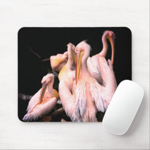 Roze Pelicans Muismat