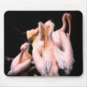 Roze Pelicans Muismat (Voorkant)