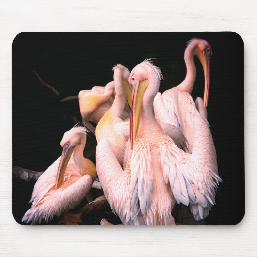 Roze Pelicans Muismat (Voorkant)