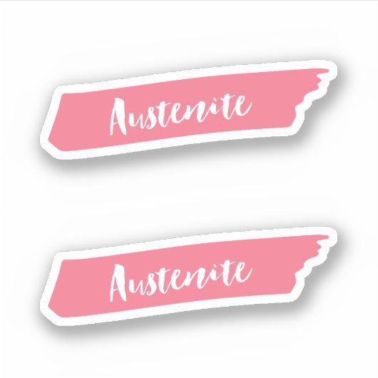 Roze penseel Austenite Sticker (Voorkant)