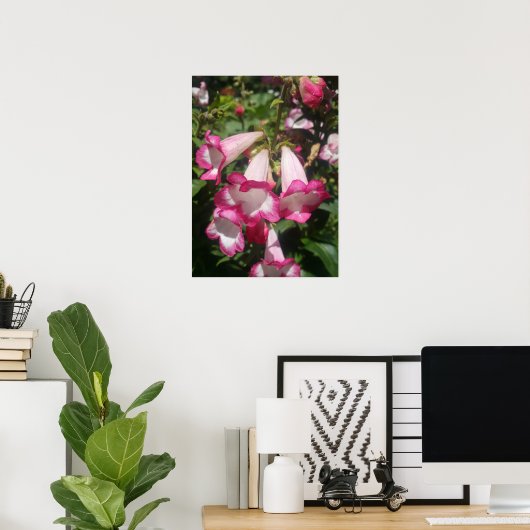 Roze Penstemon Bloementuin Poster (Thuiskantoor)