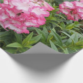  roze Penstemon Flower Floral Pattern Garden Cadeaupapier (Hoek)