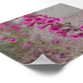 Roze Penstemons Poster (Hoek)