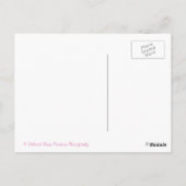 Roze Peonies Peony Flower Briefkaart (Achterkant)