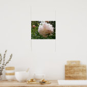 Roze Peony Blossom. Poster (Keuken)