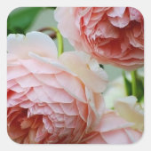 Roze Peony Envelope Seal Stickers (Voorkant)