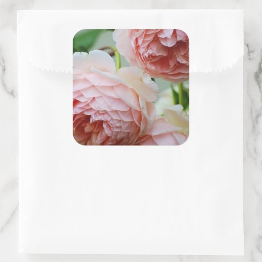 Roze Peony Envelope Seal Stickers (Tas)