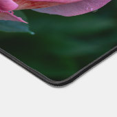 Roze Peony Flower, Canadese fotografie Bureaumat (Hoek)