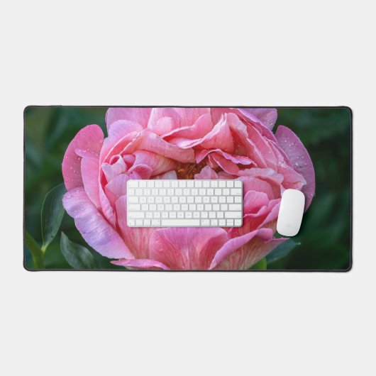 Roze Peony Flower, Canadese fotografie Bureaumat (Keyboard & Muis)
