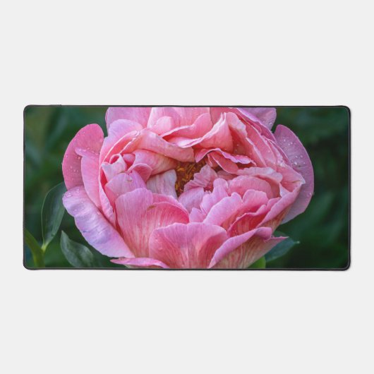 Roze Peony Flower, Canadese fotografie Bureaumat (Voorkant)