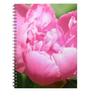 Roze Peony-laptop Notitieboek