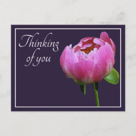 Roze Peony Navy Colour Background denking You Briefkaart
